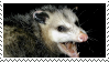 Stamp 4